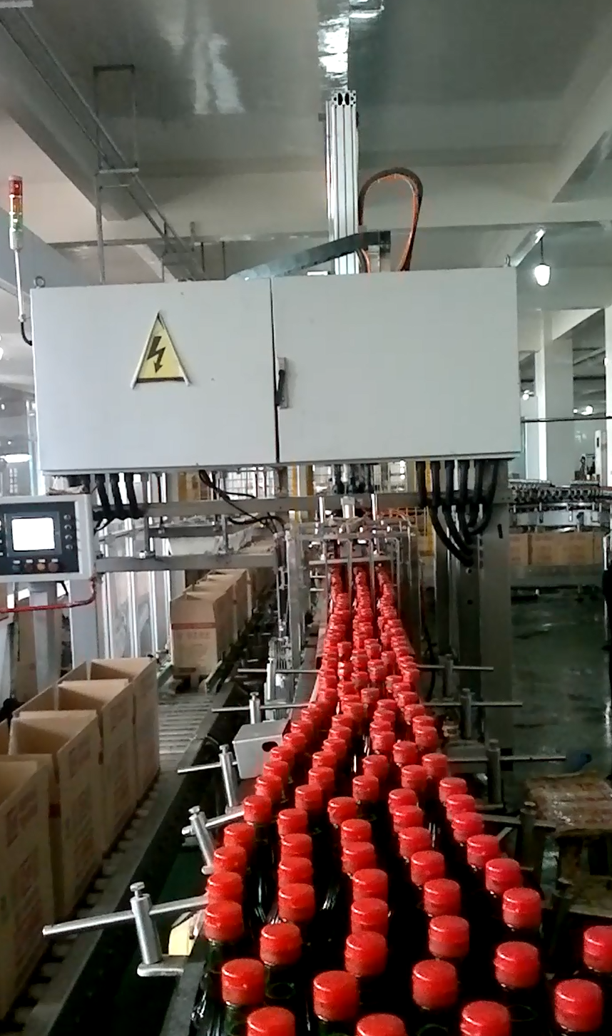 Double Servo Packing Machine